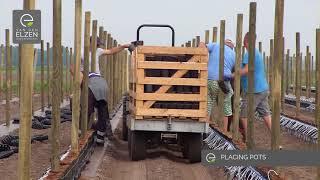 Van den Elzen Plants - Construction of our new raspberry field