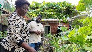 She Grows Plenty Of Organic Foods In The Ghetto On a Road-sized Plot - World's Smallest Farm