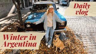 HOW TO SURVIVE WINTER IN ARGENTINA | FEATURES OF AGRENTINE APARTMENTS |RUSSIAN SAUNA IN ARGENTINA.