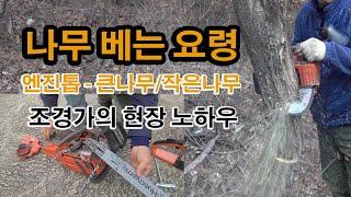 나무 베는 요령, 벌목 방법, 엔진톱, 체인톱 사용방법, 벌도