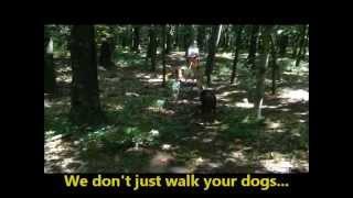 Hike Hounds Canine Adventures 4