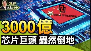 3000亿芯片巨头轰然倒地；网信办整顿“唱衰经济”自媒体；整死学区房，习近平到底在想什么？（政论天下第497集 20210829）天亮时分