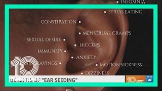 Wake up wellness: Benefits of 'Ear Seeding'