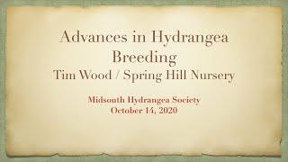 Advances in Hydrangea Breeding — Tim Wood / Spring Hill Nursery