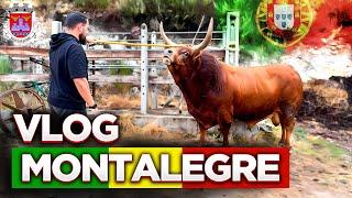 VLOG Montalegre: terras de Barroso