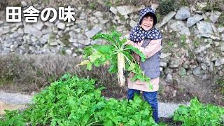 【田舎暮らし】仲良し夫婦が作る、ほっとする田舎の味【山口県vlog】