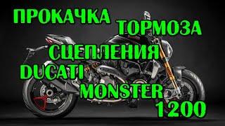 Прокачка тормоза сцепления Ducati Monster 1200. Bleeding brake and clutch Ducati monster 1200