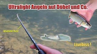 Erfolgreiches Ultralight Angeln auf Döbel - Livebisse !