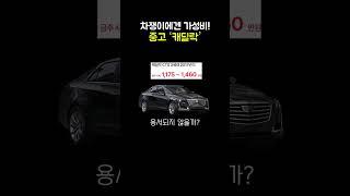 안 알려진 갓성비 수입차(중고)