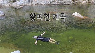 울진 | 왕피천 계곡 | 스노클링