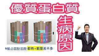 什麼是優質蛋白質？同時擁有九種必需胺基酸