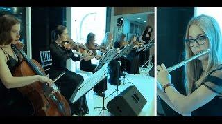 Стильный лаунж оркестр (chamber lounge orchestra). Заказать оркестр Киев