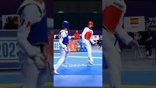 GUIDE TORANDO KICK TAEKWONDO