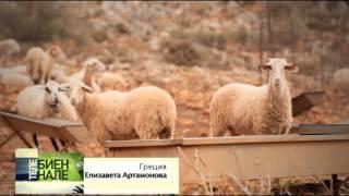 Телебиеннале. Греция — Елизавета Артамонова
