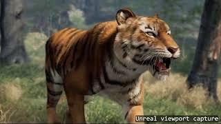 Animal tiger trailer