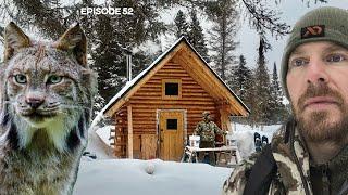 LYNX, Interior Work, Chinking |EP52| Log Cabin Build on Off-Grid Homestead