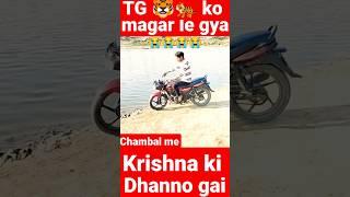 TG ko magar Le gya | Krishna yaduvanshi | #shorts #yt #ytstatus #viralshorts #youtubeshorts.mp4