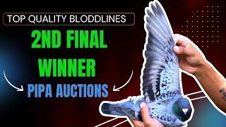 The 2nd Final Winner Racing Pigeon Of AviRings Derby One Loft Race For Sale In Pipa Auction