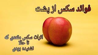 فواید سکس از پشت | نکاتی که در مورد رابطه‌ی مقعدی نمیدونستی | مسائل زناشویی