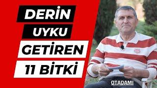 UYKU GETİREN BİTKİ ÇAYLARI UYKU GETİREN ÇAY UYKU VEREN BİTKİ ÇAYLARI