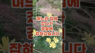 이런 어처구니 없는 이야기 들어보셨나요? #시어머니썰 #며느리썰 #라디오사연 #사이다썰 #인생사연