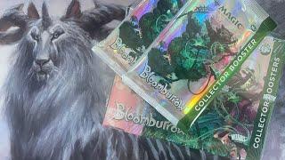 Bloomburrow Collector Box Battle - Is Bloomburrow the New Tree Hunt?!