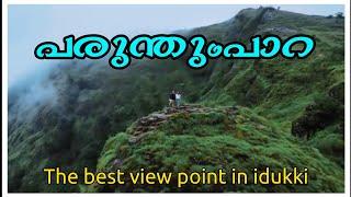 Parunthumpara | Exploring Idukki | Travel With Nidhin