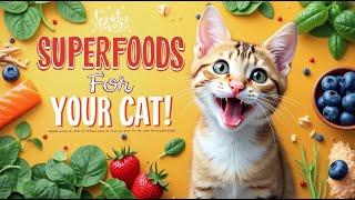  12 Human Foods That Are Superfoods for Your Cat!