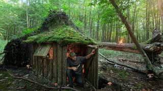 A cozy log cabin for survival  under an upturned root. Bushcraft, Dugout, Catch and Cook