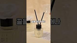 나만 알고 싶은 디퓨저 오래 쓰는 법 ⠀