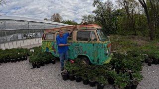 A tour of  Groovy Plants Maringo OHio  :mother's day #shopwithme