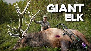 I Hunted GIANT ELK in Kentucky with a Bow