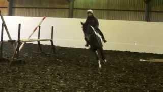 Diani Western-Kaye lesson with Robert Pickles at Snowball Farm (2)