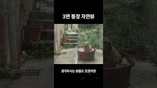 ↑ 풀영상 : 3면이 숲뷰가 나오는 집 #인테리어
