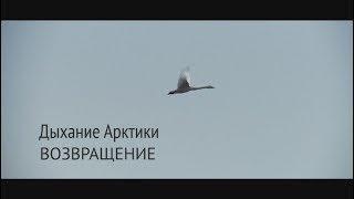 Дыхание Арктики. Возвращение