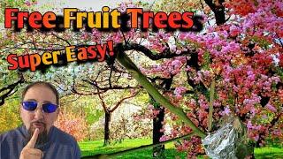 Free Fruit Trees for Life in Less Than 2 Mins!