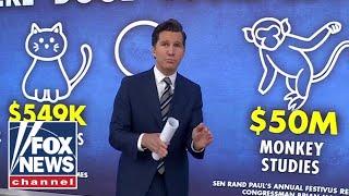 Will Cain calls out the ‘ridiculous’ ways Washington is spending money