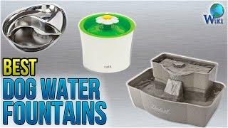 10 Best Dog Water Fountains 2018