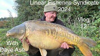 Linear fisheries Syndicate Vlog 12  with Dave Ash