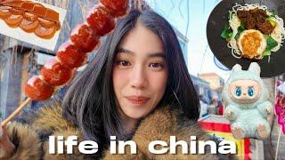 living in china | shanghai days, crazy food trip to beijing & tianjin!