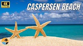 Caspersen Beach 2022 - Venice Florida