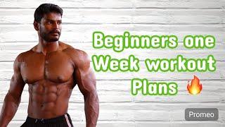 Beginners best muscle growth workout plan