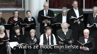 Yiddish Jewish choir  sings: Canticles - Sjir-hasjiriem - Hooglied