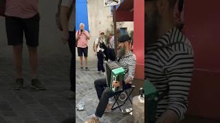 Melodies of Montmartre: Accordion Maestro and His Feline Muse  Parisian Street Musician