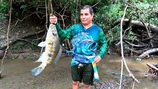 PESCANDO EN PEQUEÑAS QUEBRADAS CON ANZUELO