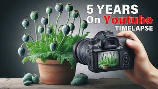 5 Years of Filming - All in One - Plant Time Lapse Compilation