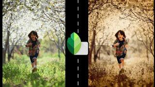 Snapseed Rich Brown Moody Tone Tutorial | Snapseed Photo Editing | ediT X