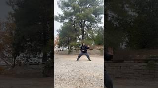 Chen Style Tai Chi 🫖️ #taichi #qigong #kungfu