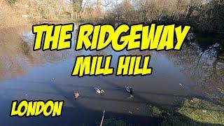 The Ridgeway, Mill Hill, London #walkingtour