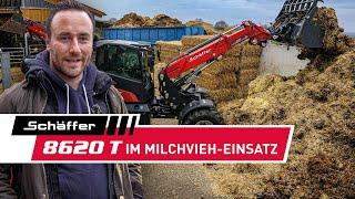 Schäffer Teleradlader 8620 T-3 auf einem Milchviehbetrieb